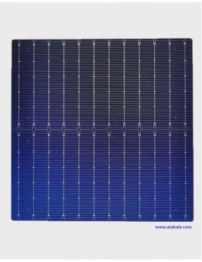 Aiko 10BB Half Cut Bifacial Solar Hücre 7,60Wat %23,1 Verim N Tipi 182mmX182mm