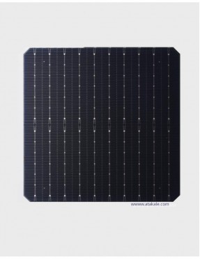 10BB Half Cut Bifacial Solar Hücre 7,69Wat %23,30 Verim 182mmX182mm
