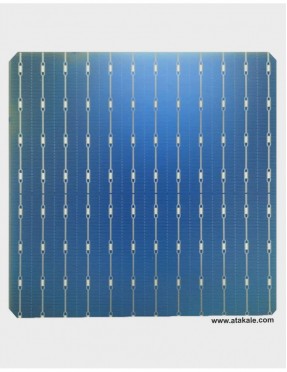 12BB Half Cut Bifacial Solar Hücre 10Wat %23,1 Verim N Tipi 210mmX210mm
