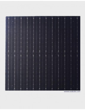 Solar Space 12BB Half Cut Bifacial Solar Hücre10.18 Wat P tipi  %23,10 Verim 210mmX210mm