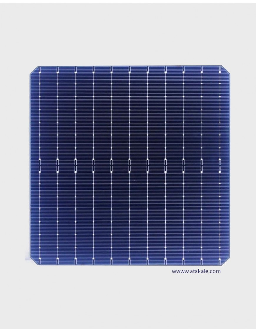 Topsky 10BB Half Cut Bifacial Solar Hücre 7,59Wat %23,10 Verim 182mmX182mm
