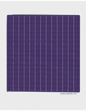Topsky 12BB Half Cut Bifacial Solar Hücre 10,10Wat %23,00 Verim 210mmX210mm
